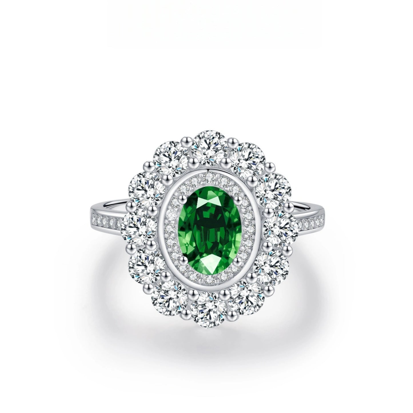 Rooted in Love — The Promise Ring
