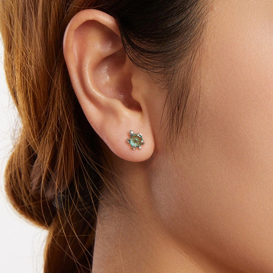 Aqua Turtle Sterling Silver Stud Earrings